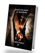 dove-volano-le-rondini