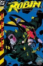 robin-7286-dc-comics-2000