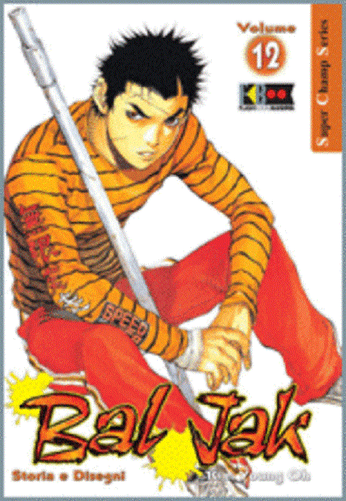 baljak-pack-flashbook-2004