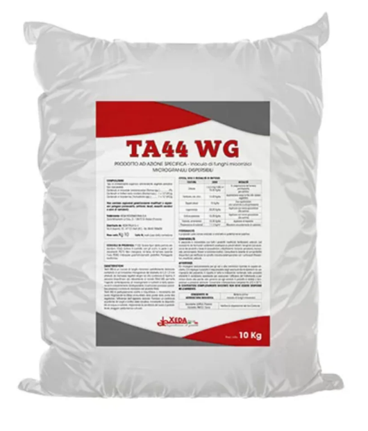 ta44wg.png