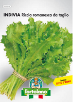 indivia-riccia-romanesca-da-taglio-sementi-lortolano