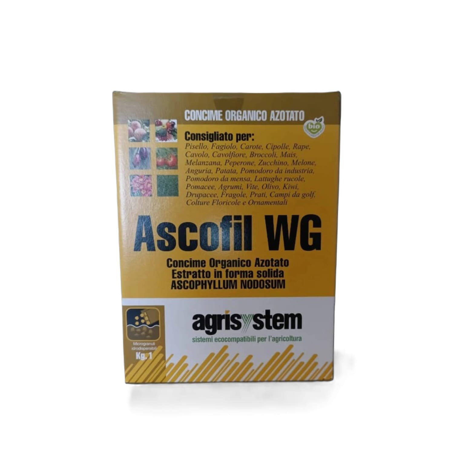 ascofil-wg-2.jpeg