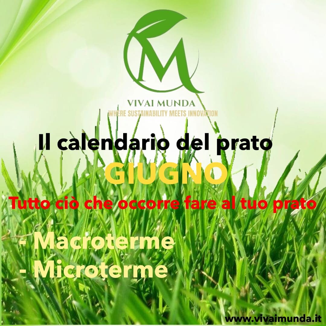 Vivai Munda - Il Calendario del Prato - Mese: Giugno