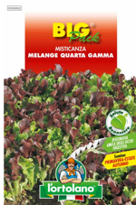 misticanza-melange-quarta-gamma-sementi-lortolano