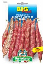 fagiolo-nano-borlotto-lingua-di-fuoco-sementi-lortolano