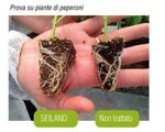 1-kg-seiland-agrisystem-prodotto-bio-ad-azione-specifica-inoculo-di-funghi-micorrizici