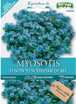 myosotis-sementi-lortolano