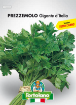 prezzemolo-gigante-ditalia-sementi-lortolano