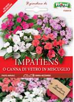 impatiens-o-canna-di-vetro-in-miscuglio-sementi-lortolano