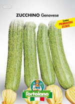 zucchino-genovese-sementi-lortolano