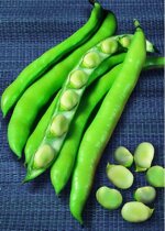 1-kg-fava-superaguadulce-selezione-conservatrice-sementi-sais-il-buon-seme-precoce