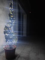 cupressocyparis-leylandii-innestato-a-spirale-140150-cm