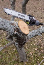 nativa-pole-saw-330-potatore-telescopico-elettrico-ausonia