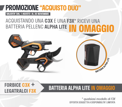 acquisto duo