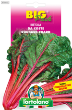 bietola-da-coste-rhubarb-chard-sementi-lortolano