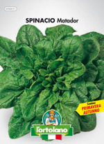 spinacio-matador-sementi-lortolano