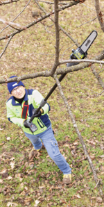 nativa-pole-saw-330-potatore-telescopico-elettrico-ausonia