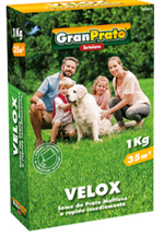 velox-miscuglio-universale-per-la-costituzione-di-prati-sementi-lortolano