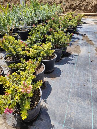 a7c37d61-5ff4-47f6-9398-eff4d6e39915