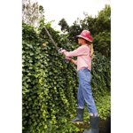 tagliasiepe-a-batteria-ts20-verdemax