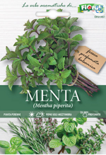 menta-sementi-lortolano