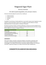 20-l-vigor-plant-potgrond-terriccio-universale-bio