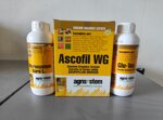kit-allegagione-bio-olivo-fruttiferi-e-orticole-microsystem-boro-l-ascofil-wg-glu-tex