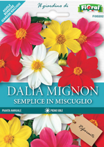dalia-mignon-semplice-in-miscuglio-sementi-lortolano