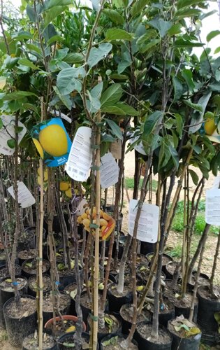 dd1cc702-8644-4d90-8498-3b92ae724b61