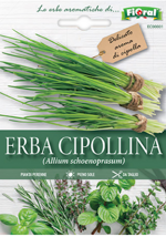 erba-cipollina-broad-leaf-sementi-lortolano