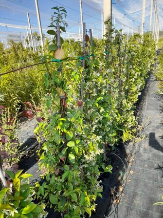 cf4e719c-2e06-4aa6-8cf5-f2a2aa19dc0c