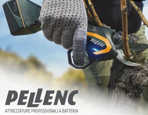 78aba6ba-75cc-40b3-956f-05714d31fe98