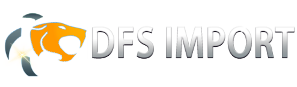 dfs-import-logo01