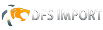 dfs-import-logo01