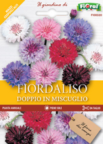 fiordaliso-doppio-in-miscuglio-sementi-lortolano