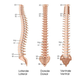 rete-elettrica-pensati-per-migliorare-la-qualita-del-riposo