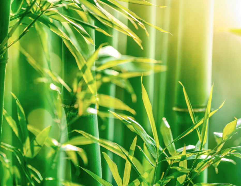 schermata 2026-02-23 alle 11.31.13