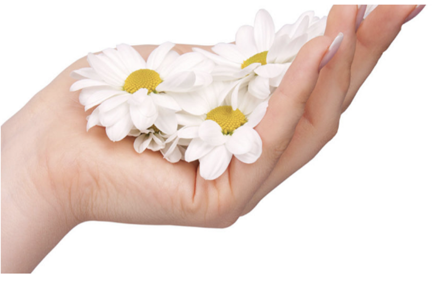 schermata 2026-02-23 alle 14.32.54