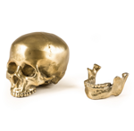 teschio-in-alluminio