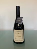 il-sogno-2019-travaglini