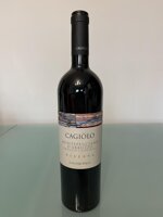 cagiolo-riserva-2013-cantina-tollo