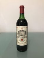 luch-1971-guy-de-fleurieu-chateau-de-luch