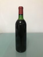 luch-1971-guy-de-fleurieu-chateau-de-luch