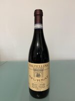 sfursat-2000-nino-negri