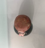 barolo-1966-pico-della-mirandola