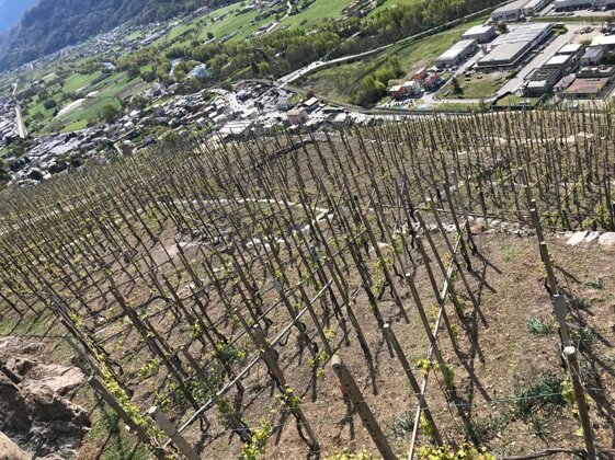 d7987551-fbaf-4238-b62e-1fd55ed7b005 d7987551-fbaf-4238-b62e-1fd55ed7b005