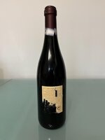 sfursat-2000-nino-negri