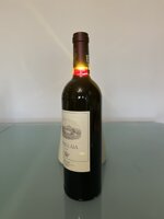 ornellaia-la-proporzione-vendemmia-dartista-2020-tenuta-dellornellaia