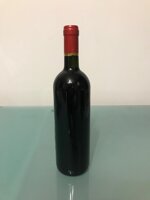 barbera-del-monferrato-1996-castello-di-tagliolo