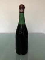 barbera-san-giorgio-1954-cantina-sociale-san-giorgio